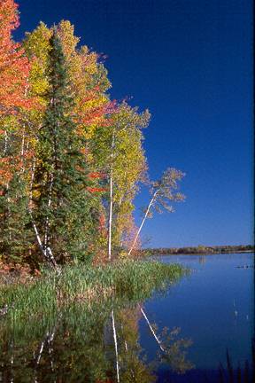 Chequamegon Waters in Fall - Chequamegon National Forest