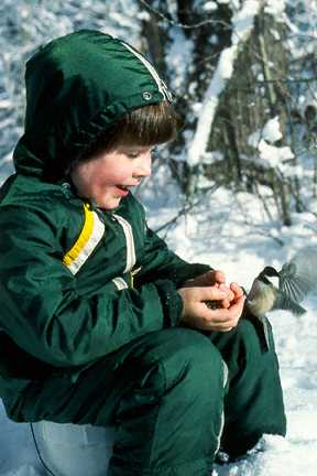 Boy with black-capped chickadee