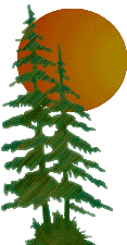 MildBrand Christmas Tree Farm